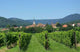 Mittelbergheim Wall Decal
