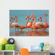Flamingos Are Walking River Wall Decal