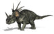 Styracosaurus Wall Decal