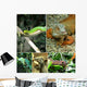 Reptiles Wall Decal