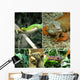 Reptiles Wall Decal
