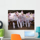 Pigs Wall Decal