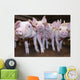 Pigs Wall Decal