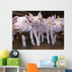 Pigs Wall Decal