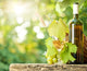 White Wine Bottle Vine Wall Decal