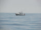Cape Cod Boat out in the Ocean Wall Decal
