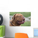 Bordeauxdogge Wall Decal