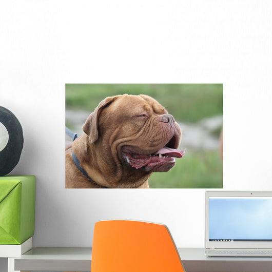 Bordeauxdogge Wall Decal