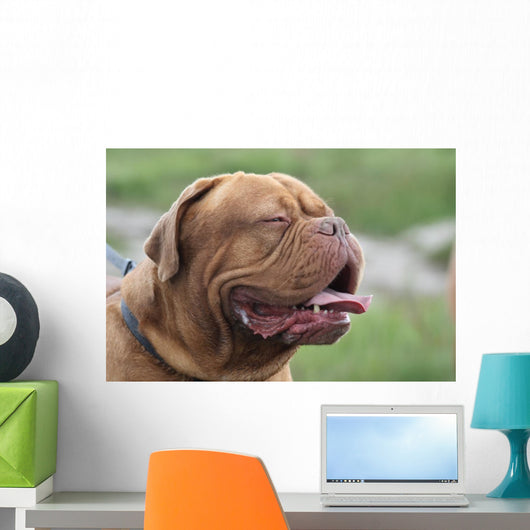Bordeauxdogge Wall Decal