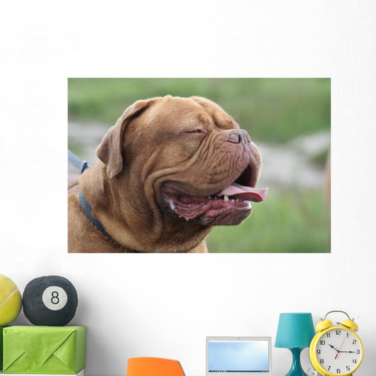 Bordeauxdogge Wall Decal