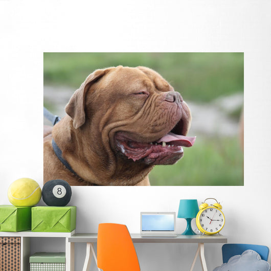 Bordeauxdogge Wall Decal