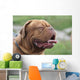 Bordeauxdogge Wall Decal