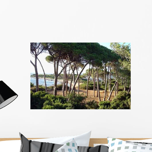 Provence Cote D'Azur Mediterranee Wall Decal