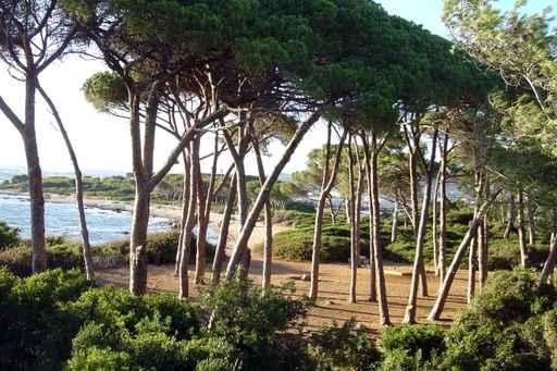 Provence Cote D'Azur Mediterranee Wall Decal
