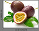 Passion Fruit Wall Decal
