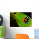 Red Poison Frog Wall Decal