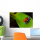 Red Poison Frog Wall Decal