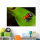 Red Poison Frog Wall Decal