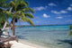 Tikehau Wall Decal