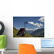 Zaino Wall Decal