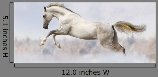 Silver-White Stallion Wall Decal