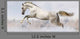 Silver-White Stallion Wall Decal