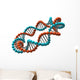 Digital Illustration Dna Wall Decal