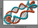 Digital Illustration Dna Wall Decal