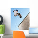 Boy Skateboarding Wall Mural