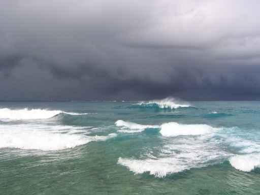 Storm Way Wall Decal