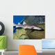 Nurse Shark Ginglymostoma Cirratum Wall Decal