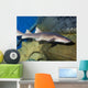 Nurse Shark Ginglymostoma Cirratum Wall Decal