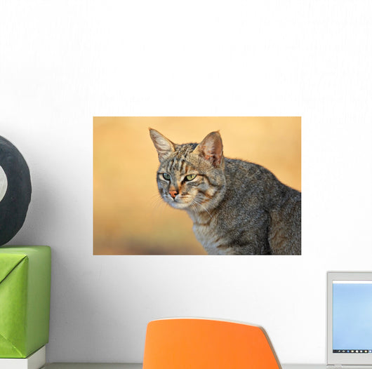 African Wild Cat Wall Decal