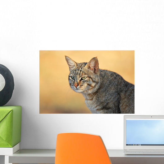 African Wild Cat Wall Decal
