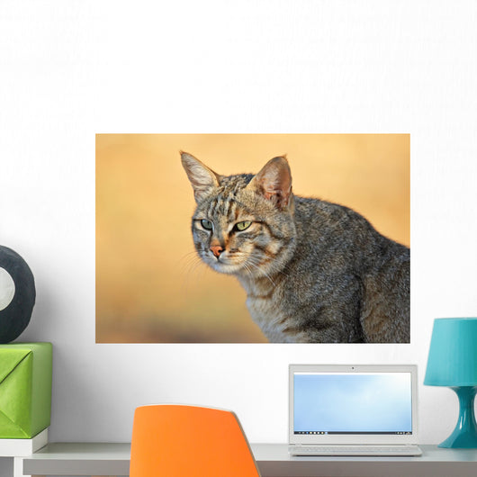 African Wild Cat Wall Decal
