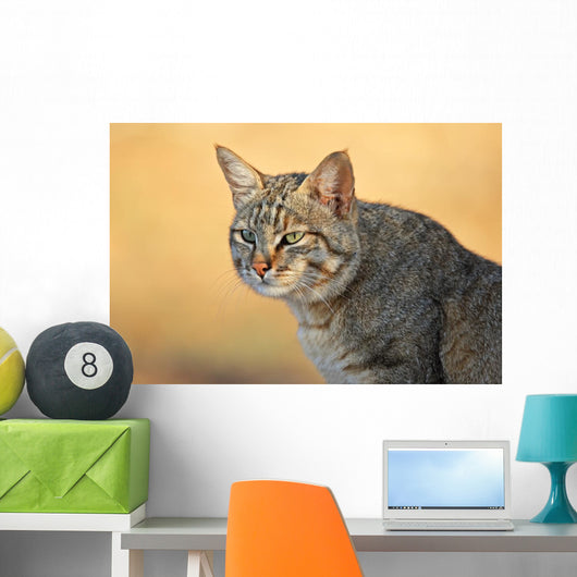 African Wild Cat Wall Decal