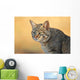 African Wild Cat Wall Decal