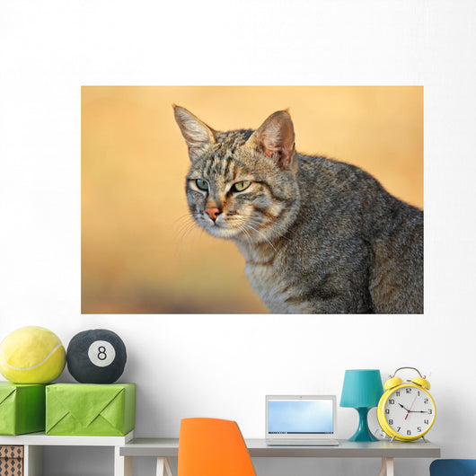 African Wild Cat Wall Decal