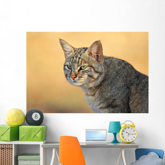 African Wild Cat Wall Decal
