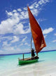 Sailing Into Blue Wall Decal