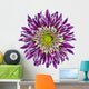 Chrysanthemum Flower Purple Wall Decal