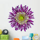 Chrysanthemum Flower Purple Wall Decal