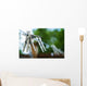 Outdoors Clothesline Wall Decal