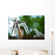 Outdoors Clothesline Wall Decal
