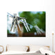 Outdoors Clothesline Wall Decal