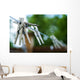 Outdoors Clothesline Wall Decal