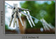 Outdoors Clothesline Wall Decal