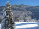 Montagne Chalet Wall Decal