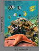 Sea-Star And Fish Wall Decal