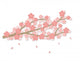 Pink Sakura Cherry Blossoms Wall Decal